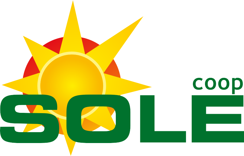 logo sole
