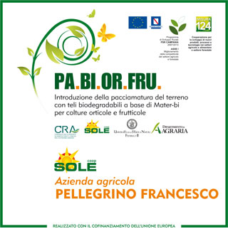 Az.Pellegrino melone