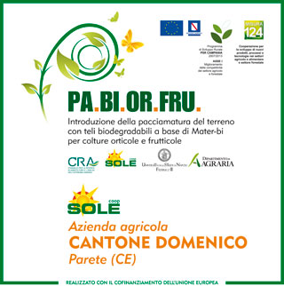 az.Cantone fragola