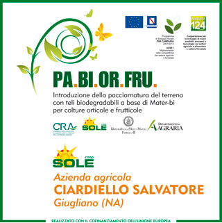 az.Ciardiello cavolo.rapa