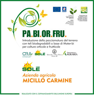 az.Micillo angurie melone