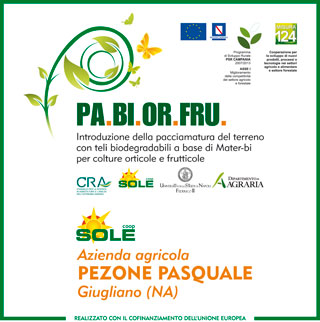 az.Pezone fragola